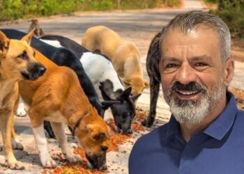 120.000 ευρώ ζήτησε αποζημίωση αντιδήμαρχος από το Δήμο Αγρινίου για επίθεση από αδέσποτο-Τι λέει ο ίδιος & το ποσό που επιδικάστηκε