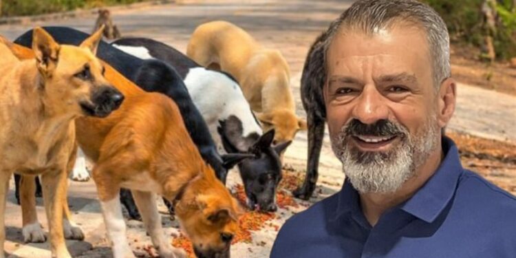 120.000 ευρώ ζήτησε αποζημίωση αντιδήμαρχος από το Δήμο Αγρινίου για επίθεση από αδέσποτο-Τι λέει ο ίδιος & το ποσό που επιδικάστηκε