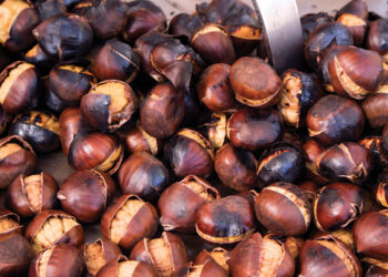 Κάστανο: Μειωμένη έως και 70% η παραγωγή του