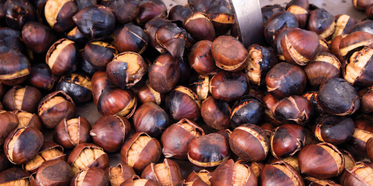 Κάστανο: Μειωμένη έως και 70% η παραγωγή του