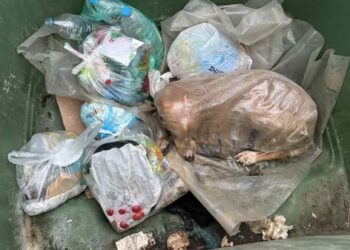 Μεγαλόπολη: Σκυλίτσα βρέθηκε σε τσουβάλι μέσα σε κάδο απορριμμάτων