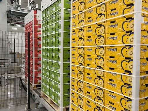 Αγροτικός Συνεταιρισμός Νεάπολης: νέα αγγελία για εποχικό προσωπικό