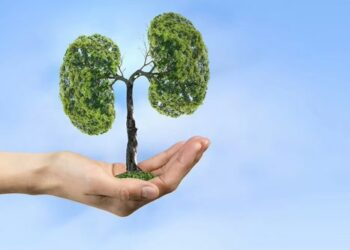 Παγκόσμια Ημέρα Χρόνιας Αποφρακτικής Πνευμονοπάθειας