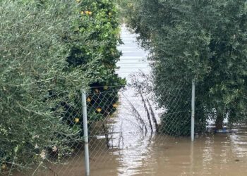 Δήμος Αγρινίου: Καταγραφή ζημιών από την κακοκαιρία –  Αιτήσεις πολιτών