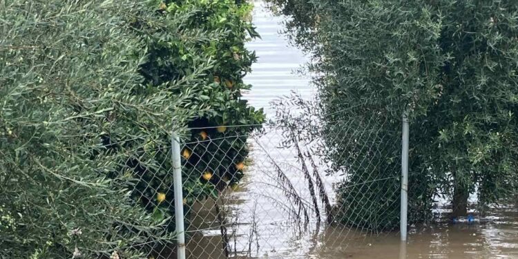 Δήμος Αγρινίου: Καταγραφή ζημιών από την κακοκαιρία –  Αιτήσεις πολιτών