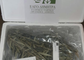 Nέο κεφάλαιο στην παραγωγή πολλαπλασιαστικού υλικού οπωροφόρων δένδρων στην Ελλάδα από τον ΕΛΓΟ-ΔΗΜΗΤΡΑ