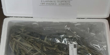 Nέο κεφάλαιο στην παραγωγή πολλαπλασιαστικού υλικού οπωροφόρων δένδρων στην Ελλάδα από τον ΕΛΓΟ-ΔΗΜΗΤΡΑ