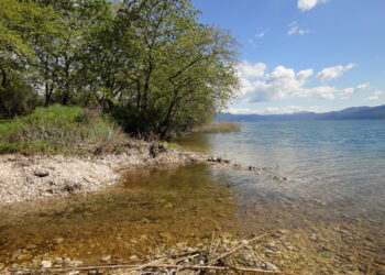 Pseudoislamia balcanica: ένα μικροσκοπικό σαλιγκάρι της Τριχωνίδας και η σχέση του με τα είδη της λίμνης Οχρίδας