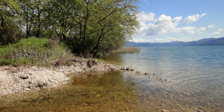 Pseudoislamia balcanica: ένα μικροσκοπικό σαλιγκάρι της Τριχωνίδας και η σχέση του με τα είδη της λίμνης Οχρίδας