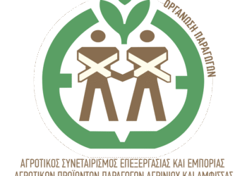 Από το χωράφι στο πιάτο: Πώς η Ένωση Αγρινίου & Άμφισσας αναβαθμίζει την ποιότητα της βρώσιμης ελιάς