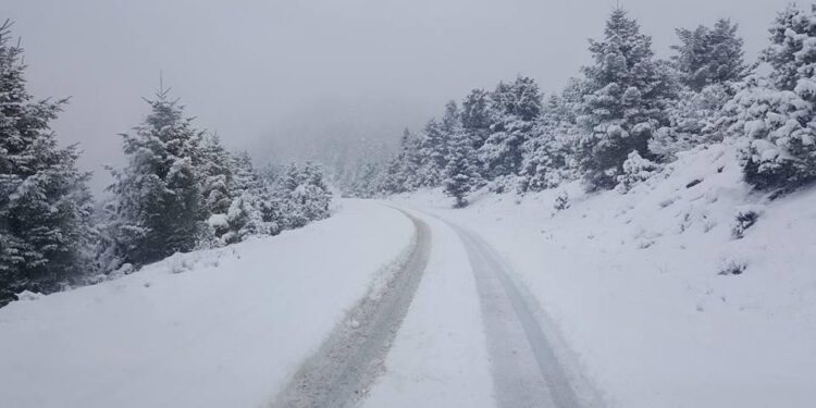 Καιρός: Πρωτοχρονιά με κρύο, χιόνια και τοπικές βροχές