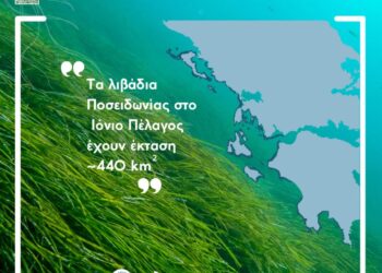 Επιστολή Δήμου Ξηρομέρου για τις απαιτούμενες αποστάσεις των προτύπων ASC, για μονάδες υδατοκαλλιέργειας από λιβάδια Posidonia oceanica