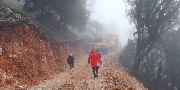 Η Αριά (quercus ilex) και η καταστροφή στην Κομπωτή Αιτωλοακαρνανίας – Μια επείγουσα και εναγκαία καταγγελία