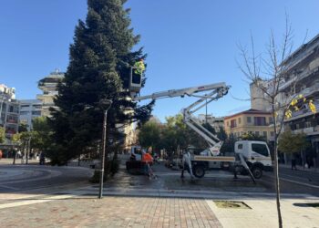Αγρίνιο: Το Χριστουγεννιάτικο δέντρο πήρε θέση στην πλατεία (φωτο – βίντεο)