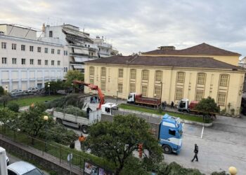 Αγρίνιο: Μετά την πλατεία Δημοκρατίας, τα Χριστουγεννιάτικα δέντρα τοποθετούνται και στα χωριά του Δήμου (φωτο – βίντεο)