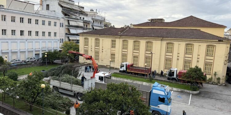 Αγρίνιο: Μετά την πλατεία Δημοκρατίας, τα Χριστουγεννιάτικα δέντρα τοποθετούνται και στα χωριά του Δήμου (φωτο – βίντεο)