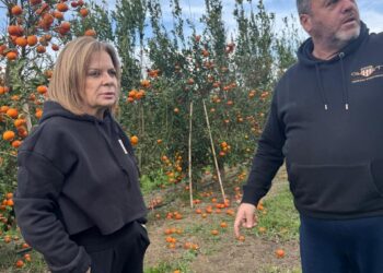 Χριστίνα Σταρακά: Αυτοψία στις κατεστραμμένες καλλιέργειες σε Ευηνοχώρι και Γαλατά