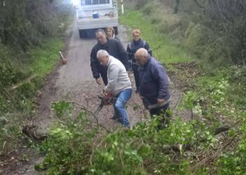 Άνοιξε ο δρόμος από Παλαιοκαρυά για Κυραβγενα που έκλεισε λόγω κατολισθήσεις και πεσμένων δένδρων