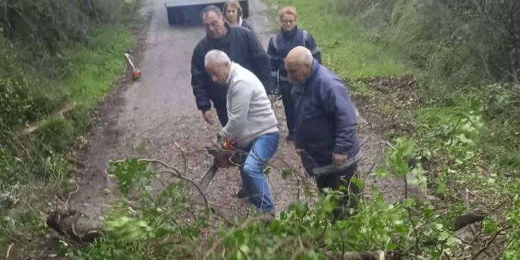 Άνοιξε ο δρόμος από Παλαιοκαρυά για Κυραβγενα που έκλεισε λόγω κατολισθήσεις και πεσμένων δένδρων