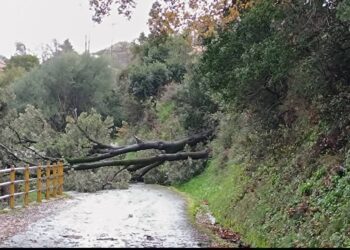 Στο έλεος των ισχυρών ανέμων βρίσκεται το Αντίρριο-Στην Άνω Χώρα Ναυπακτίας δύσκολες καιρικές συνθήκες