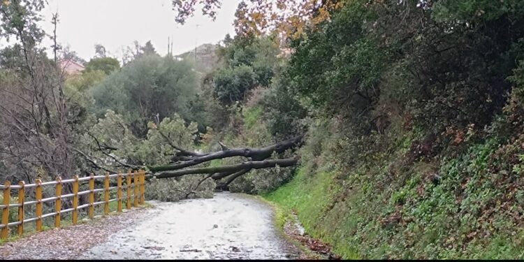 Στο έλεος των ισχυρών ανέμων βρίσκεται το Αντίρριο-Στην Άνω Χώρα Ναυπακτίας  δύσκολες καιρικές συνθήκες