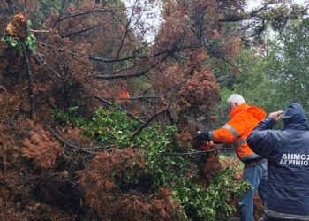 Προβλήματα στο οδικό δίκτυο Άνω και Κάτω Κερασόβου, Ρίγανη και πτώσεις δένδρων σε οικισμούς των Σιδήρων και του Παναιτωλίου λόγω κακοκαιρίας