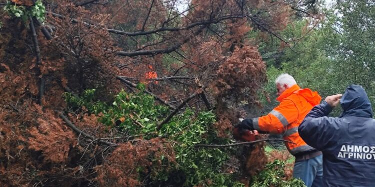 Προβλήματα στο οδικό δίκτυο Άνω και Κάτω Κερασόβου, Ρίγανη και πτώσεις δένδρων σε οικισμούς των Σιδήρων και του Παναιτωλίου λόγω κακοκαιρίας