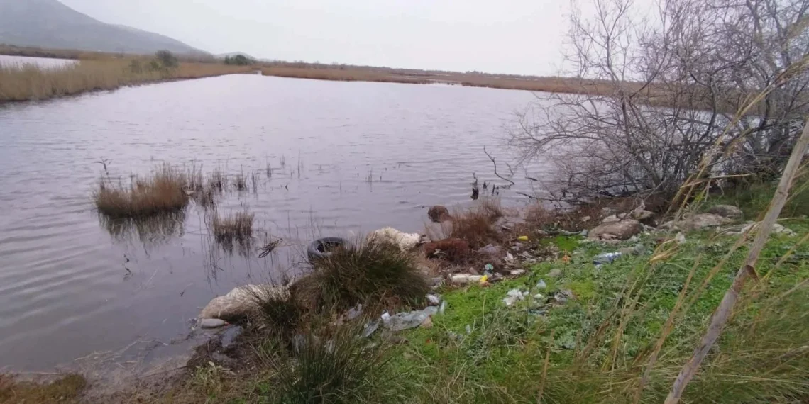 Στη δικαιοσύνη η υπόθεση παράνομης απόρριψης νεκρών ζώων στη λιμνοθάλασσα Αιτωλικού (φωτο)