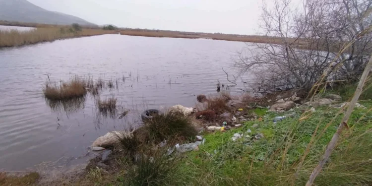 Στη δικαιοσύνη η υπόθεση παράνομης απόρριψης νεκρών ζώων στη λιμνοθάλασσα Αιτωλικού (φωτο)