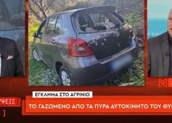 Θανάσης Κατερινόπουλος: «Πούλησε 150 πρόβατα, πήρε κι ένα ποσό και έζησε τον έρωτά της στην Πάτρα»