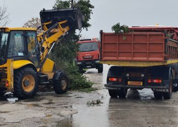 Κακοκαιρία πλήττει τον Δήμο Αγρινίου – Προβλήματα από πτώσεις δέντρων και κατολισθήσεις