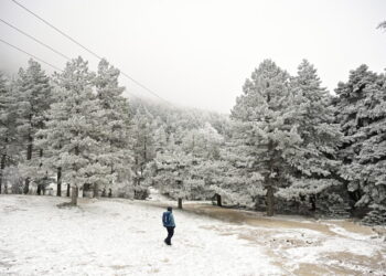 Η Πάρνηθα ντύθηκε στα λευκά – Εντυπωσιακές φωτογραφίες από το χιονισμένο τοπίο [εικόνες]
