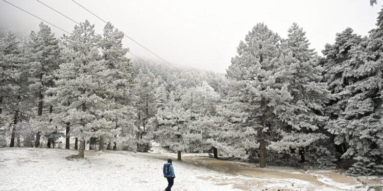 Η Πάρνηθα ντύθηκε στα λευκά – Εντυπωσιακές φωτογραφίες από το χιονισμένο τοπίο [εικόνες]