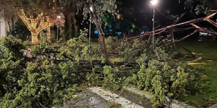 Τι προκάλεσε τους θυελλώδεις ανέμους που σάρωσαν την Αλεξανδρούπολη – Τα καθοδικά ρεύματα καταιγίδας και γιατί δεν μπορούσαν να προβλεφθούν