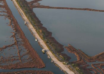 Σε απολογισμό των δράσεών της για τον Αμβρακικό προχώρησε η iSea