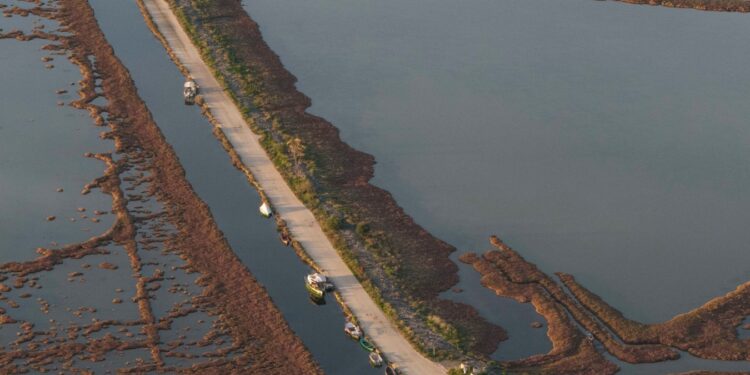 Σε απολογισμό των δράσεών της για τον Αμβρακικό προχώρησε η iSea