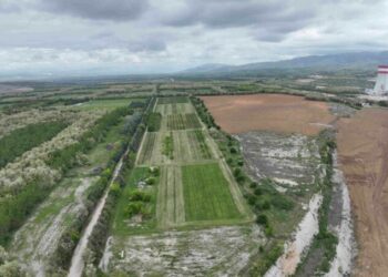 ΔΕΗ: Ιδρυτικό μέλος στη διεθνή πρωτοβουλία «Συμμαχία για Βιώσιμη Διαχείριση της Βιοποικιλότητας»