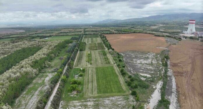 ΔΕΗ: Ιδρυτικό μέλος στη διεθνή πρωτοβουλία «Συμμαχία για Βιώσιμη Διαχείριση της Βιοποικιλότητας»