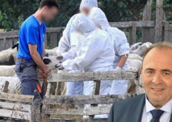 17 υποθέσεις νεκρών ζώων στην Εισαγγελία και πλήρης λειτουργία των σταθμών απολύμανσης στην Αιτωλοακαρνανία