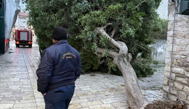 Ισχυροί άνεμοι ξερίζωσαν δέντρα στο Μεσολόγγι