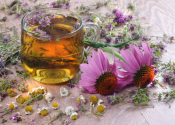 4 βότανα για την υγεία του ουροποιητικού