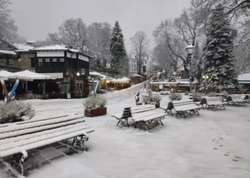 Προβλήματα σε ολόκληρη την Ήπειρο από την κακοκαιρία – Κλειστά σχολεία σε Μέτσοβο και Τζουμέρκα