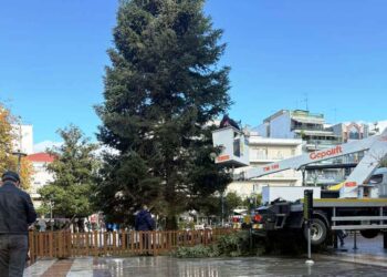Αγρίνιο: Ξεστολίζεται και απομακρύνεται το Χριστουγεννιάτικο δέντρο από την πλατεία (φωτο – βίντεο)