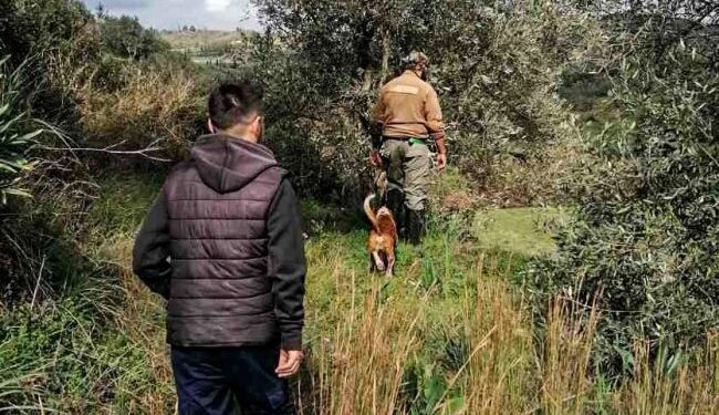 5η μέρα χωρίς αποτέλεσμα για την αγνοούμενη ηλικιωμένη στο Καινούργιο