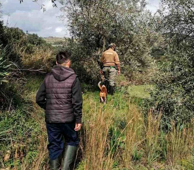 5η μέρα χωρίς αποτέλεσμα για την αγνοούμενη ηλικιωμένη στο Καινούργιο