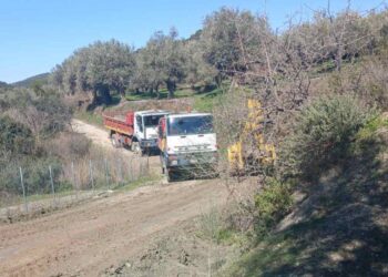 Στοχευμένες παρεμβάσεις στη Δημοτική Ενότητα Παρακαμπυλίων από τον Δήμος Αγρινίου μετά τα έντονα καιρικά φαινόμενα