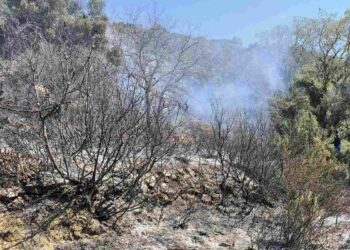 Φωτιά σε δασική περιοχή της Μαμουλαδας Ναυπακτίας