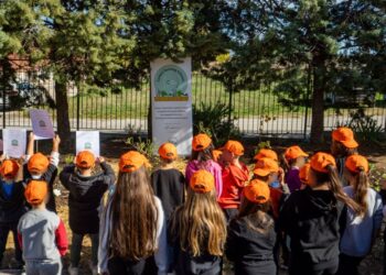 Carbon Farming Schools 2025: ΔΕΗ και Open Farm προωθούν τη βιώσιμη γεωργία στους μαθητές