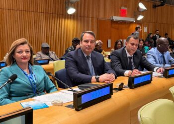 Θανάσης Παπαθανάσης από τη Νέα Υόρκη: Θεσμική παρέμβαση στον ΟΗΕ και τιμή στην Παγκόσμια Ημέρα Ελληνικής Γλώσσας