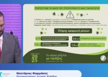 Live ο απολογισμός του Περιφερειάρχη, Νεκτάριου Φαρμάκη